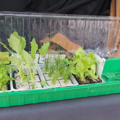 Der Frühling kehrt am ASG ein