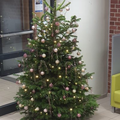 Der ASG-Adventskalender geht in die nächste Runde!